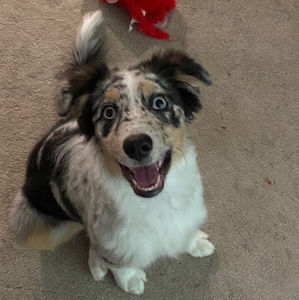 Meet your Posher, Nadia